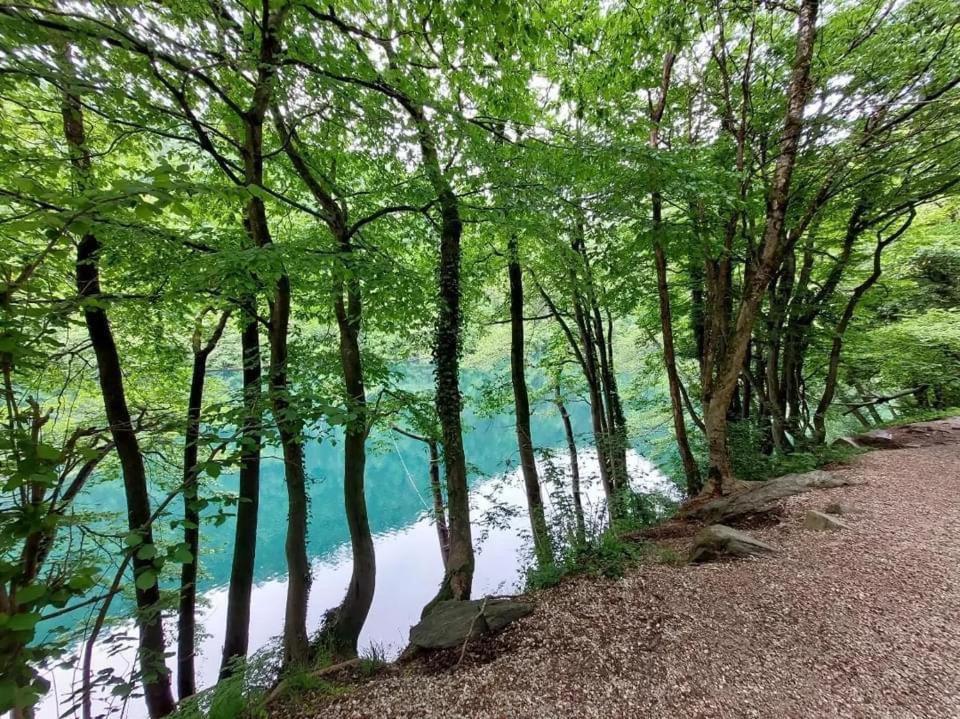 شقة Casa Bosco ليفيكو ترمي المظهر الخارجي الصورة