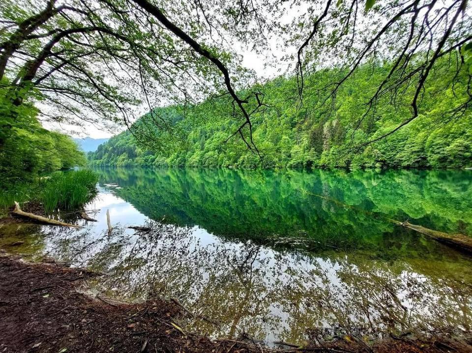 شقة Casa Bosco ليفيكو ترمي المظهر الخارجي الصورة