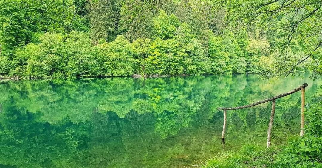 شقة Casa Bosco ليفيكو ترمي المظهر الخارجي الصورة